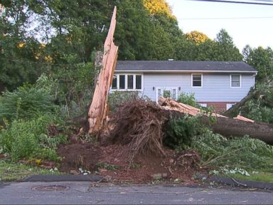 VIDEO: Deadly Storms Leave Half a Million Without Electricity