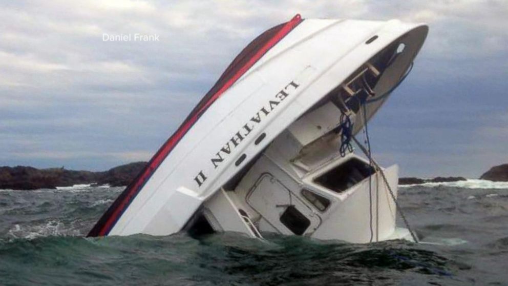 sailboat capsized by whale