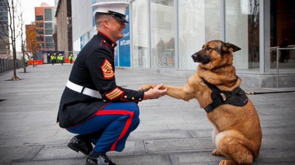 what was the first military dog