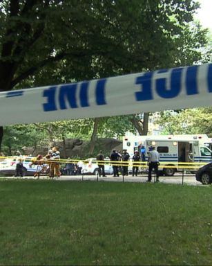 VIDEO: Questions Remain in Central Park Explosion