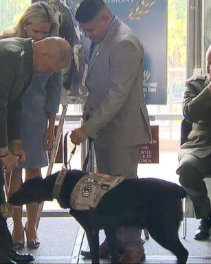 VIDEO: 4 Military Dogs Received the Nation's Highest Honor for Their Service 