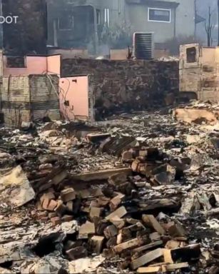 VIDEO: Wildfires Cause Terror and Devastation in Tennessee