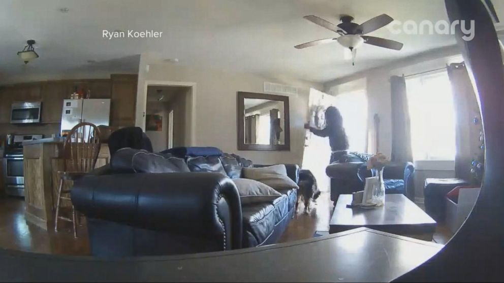 Firefighter And Wife Receive Phone Alerts With Live Video Of A Robbery At Home