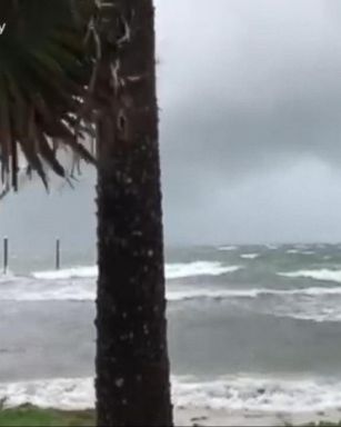 VIDEO: Tropical Storm Emily soaks Florida's Gulf Coast