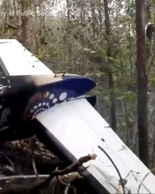 VIDEO: 10 Americans, 2 pilots killed in Costa Rica plane crash