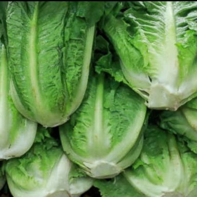 VIDEO: Government expands warning over contaminated romaine lettuce