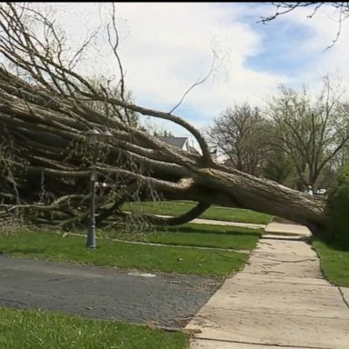 VIDEO: Severe weather moves across the I-95 Northeast corridor