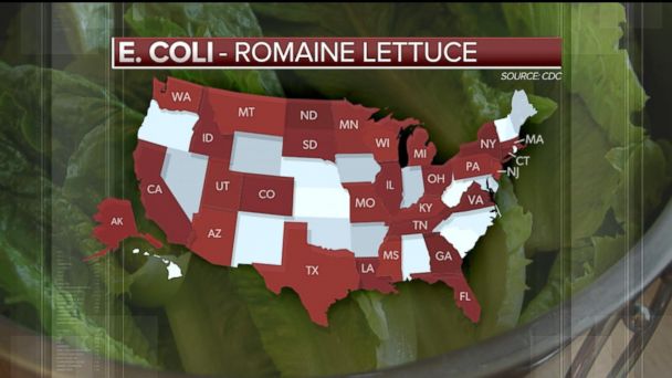 Video 29 States Now Affected By Li Romaine Lettuce Outbreak Cdc Abc News 0860