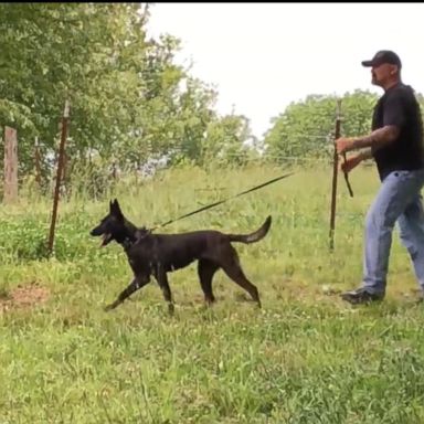 VIDEO: Rainfall hampering statewide search for alleged cop killer: Authorities