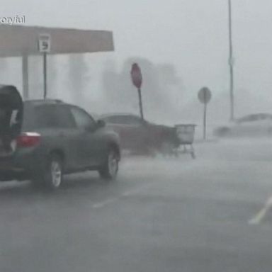 VIDEO: Flash flood watches continue as relentless rain pounds East Coast