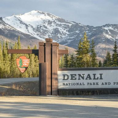 A fifth person is missing and presumed dead after the plane went down in Denali National Park.