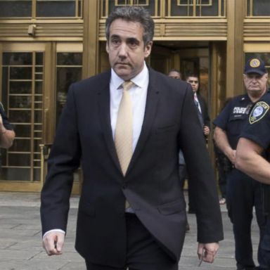 VIDEO: Michael Cohen pleads guilty, strikes plea deal