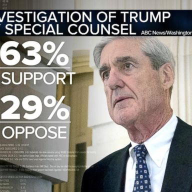 VIDEO: Overwhelming majority in US support Russia probe: Poll