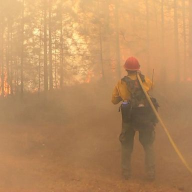 VIDEO: Delta fire in Northern Calif. caused by humans: Authorities 