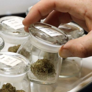 More than 100 legal marijuana shops are expected to open for business.