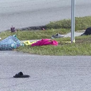 VIDEO: New school bus stop accident in Florida