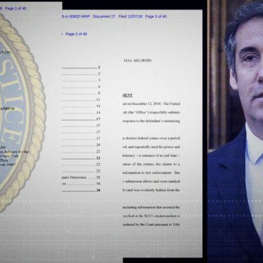 VIDEO: Feds recommend 'substantial prison term' for Michael Cohen