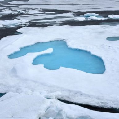 The findings show surface air temperatures in the Arctic are warming at twice the rate of the rest of the globe. 