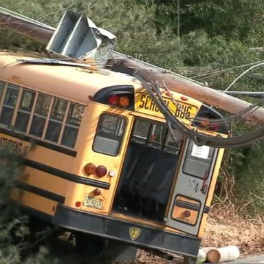 A school bus with children aboard crashed into a utility pole in New Jersey Monday morning, causing power lines to fall on top of the bus.