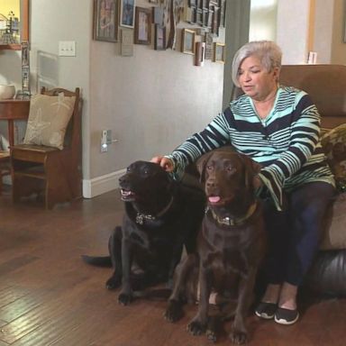 VIDEO: Two dogs praised for running to get help for owner suffering stroke