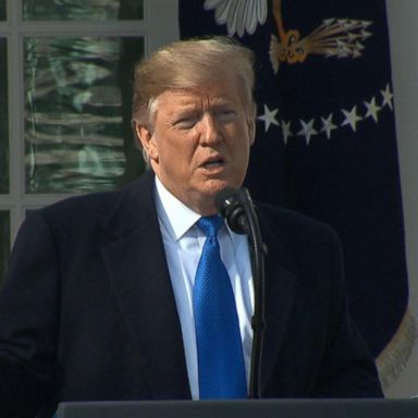 VIDEO: Trump declares national emergency in the Rose Garden