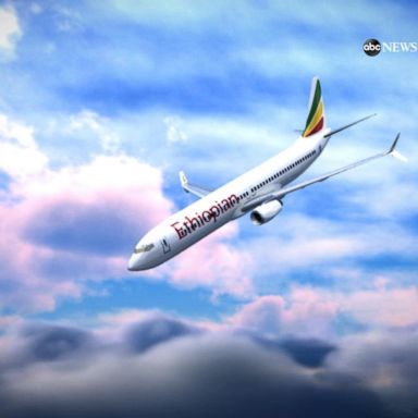 VIDEO: The terrifying final moments of the deadly Ethiopian crash