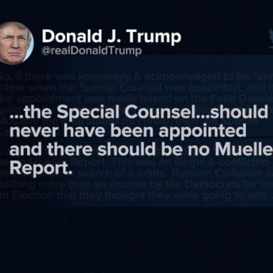 VIDEO: Trump tweets 'there should be no Mueller Report'