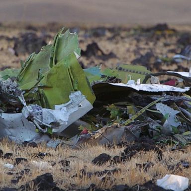 VIDEO: Preliminary data shows link between deadly 737 MAX crashes: Sources