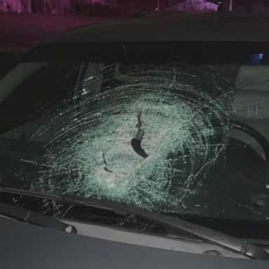 They allegedly threw the large rock through the windshield, police in Kentucky said; the driver will need reconstructive surgery.