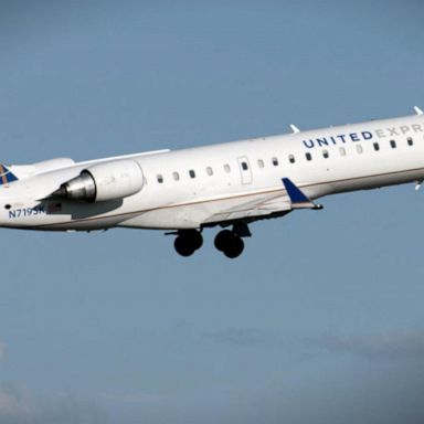 VIDEO: Plane lands in Dallas after pilots lose 2 flight data screens