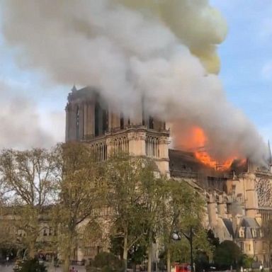 VIDEO: Notre Dame Cathedral inferno: 'It was heartbreaking to watch'