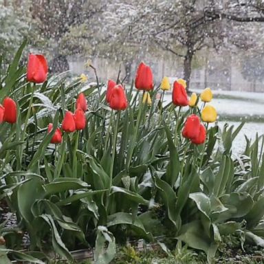 VIDEO: Major storm system brings spring snow