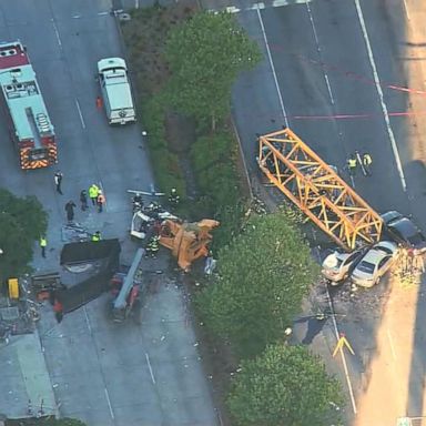 VIDEO: Construction crane collapse in Seattle kills 4