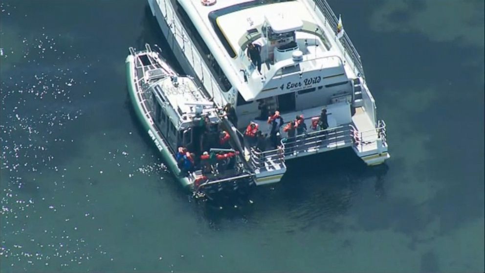 Dozens of passengers rescued from sinking whale-watching boat Video ...