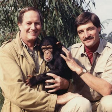 The longtime TV host became famous for his on-screen animal encounters and even appeared on "The Tonight Show" almost 50 times.