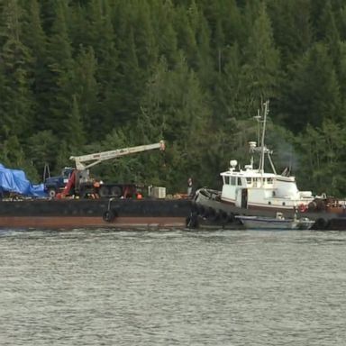 VIDEO: Up-close look at wreckage from Alaskan Wilderness collision