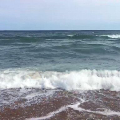 VIDEO: A suspected shark attack has been reported off the coast of North Carolina