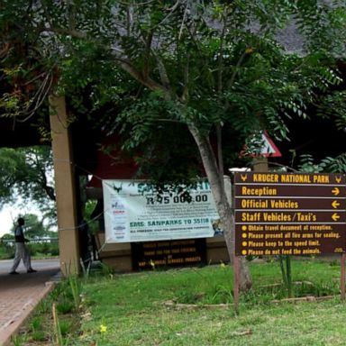 VIDEO: Deadly leopard attack at South African safari park