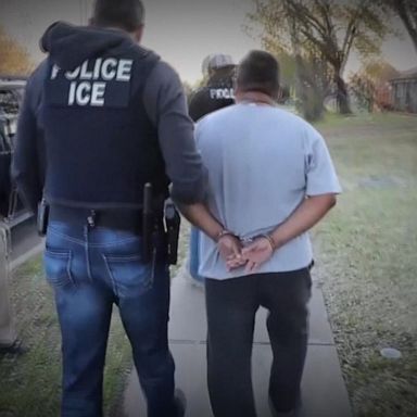 VIDEO: Trump halts ICE raids planned in many US cities