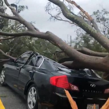 VIDEO: Hurricane Barry makes landfall, downgraded to tropical storm 