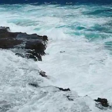 VIDEO: Couple rescued after being swept out into the ocean off coast of Oahu