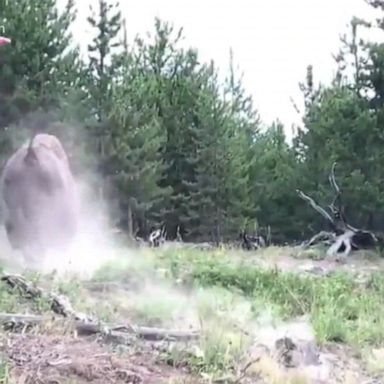 VIDEO: Video: 9-year-old girl tossed violently in the air by charging bison