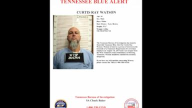 Manhunt Grows For Escaped Convict In Tennessee Video Abc News