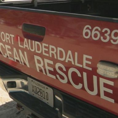 VIDEO: 11-year-old Italian tourist bitten by shark off coast of Fort Lauderdale