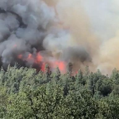 VIDEO: 51 large wildfires burning in the West, forcing evacuations