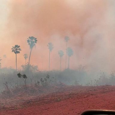 VIDEO: Bolsonaro promises 'solution' to 'give the world satisfaction' as Amazon fires rage