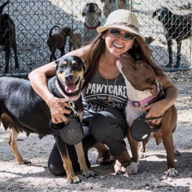 VIDEO: Bahamas woman brings in 97 homeless dogs during Dorian