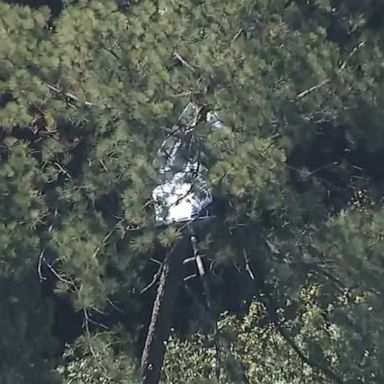 VIDEO: 2 people killed when small plane crashes while trying to land: Police