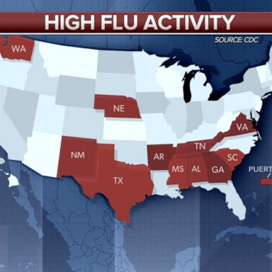 VIDEO: Elevated flu activity in 11 states across the US and Puerto Rico: CDC