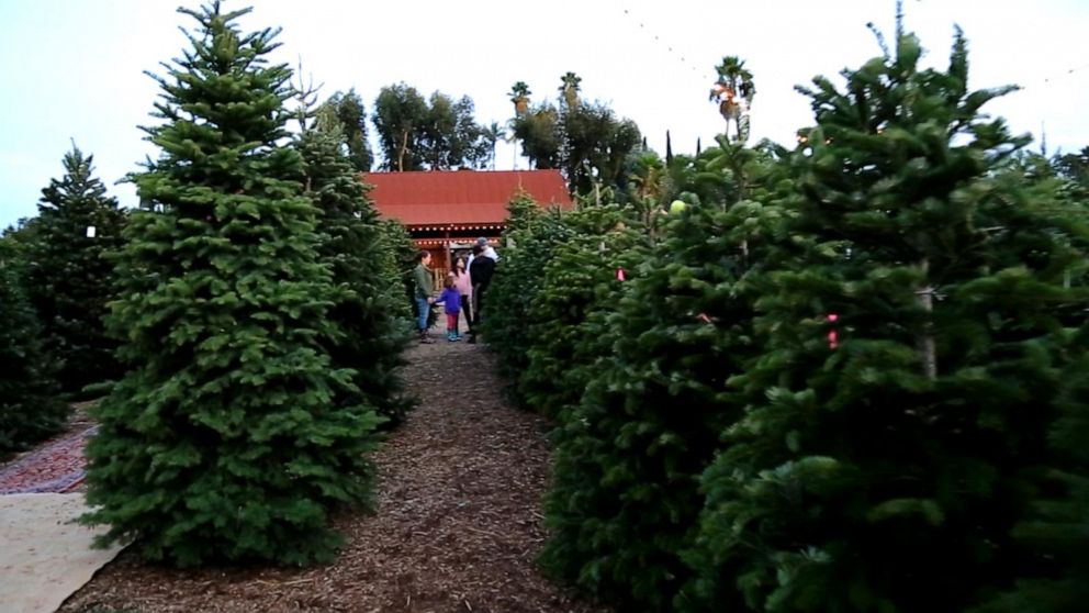 Video Made In America Holiday Edition Abc News